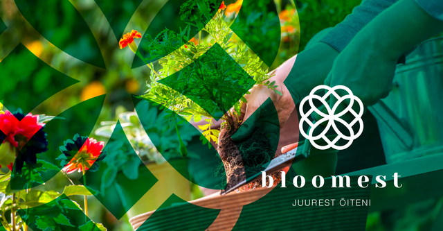 Bloomest - Juurest õiteni